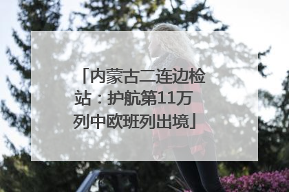 内蒙古二连边检站：护航第11万列中欧班列出境