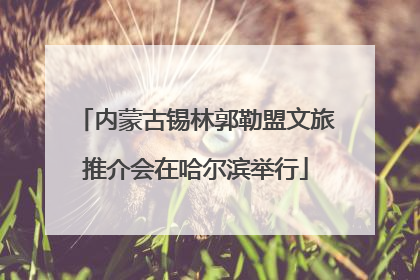 内蒙古锡林郭勒盟文旅推介会在哈尔滨举行