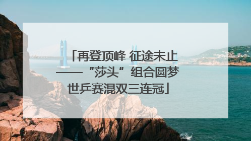 再登顶峰 征途未止——“莎头”组合圆梦世乒赛混双三连冠