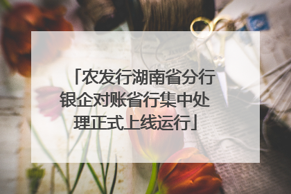 农发行湖南省分行银企对账省行集中处理正式上线运行