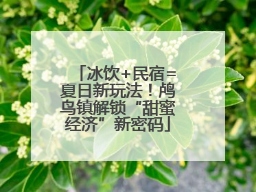 冰饮+民宿=夏日新玩法！鸬鸟镇解锁“甜蜜经济”新密码