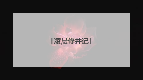 凌晨修井记