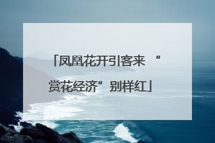 凤凰花开引客来 “赏花经济”别样红