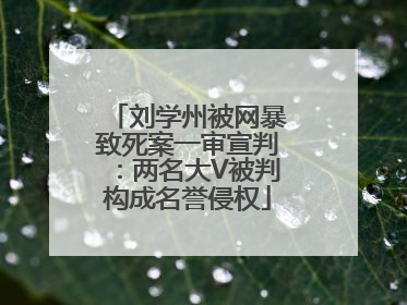 刘学州被网暴致死案一审宣判：两名大V被判构成名誉侵权