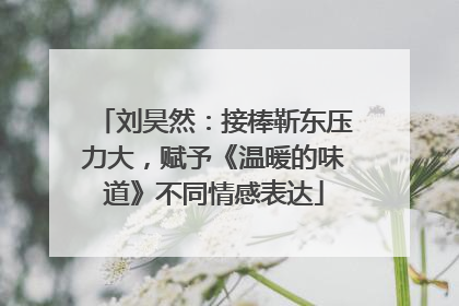 刘昊然：接棒靳东压力大，赋予《温暖的味道》不同情感表达