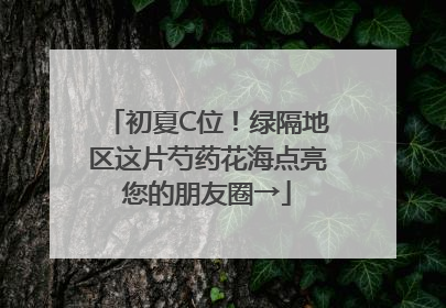 初夏C位！绿隔地区这片芍药花海点亮您的朋友圈→