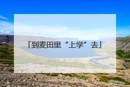 到麦田里“上学”去
