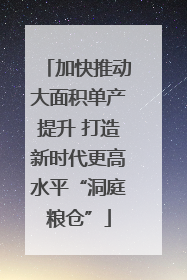 加快推动大面积单产提升 打造新时代更高水平“洞庭粮仓”