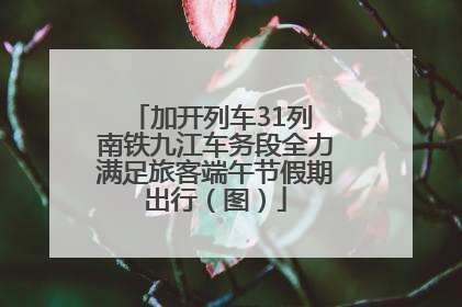 加开列车31列 南铁九江车务段全力满足旅客端午节假期出行（图）