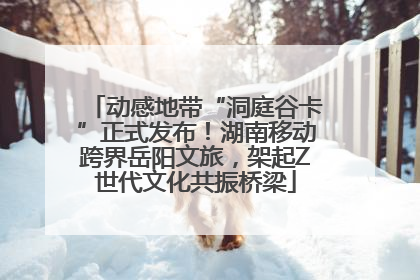 动感地带“洞庭谷卡”正式发布！湖南移动跨界岳阳文旅，架起Z世代文化共振桥梁
