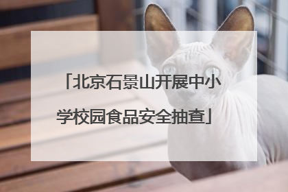 北京石景山开展中小学校园食品安全抽查