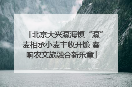 北京大兴瀛海镇“瀛”麦相承小麦丰收开镰 奏响农文旅融合新乐章