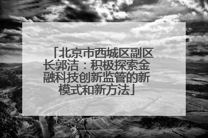 北京市西城区副区长郭洁：积极探索金融科技创新监管的新模式和新方法