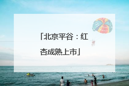 北京平谷：红杏成熟上市