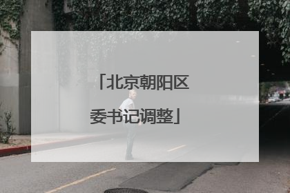 北京朝阳区委书记调整