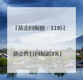 基金回报榜：119只基金昨日回报超3%