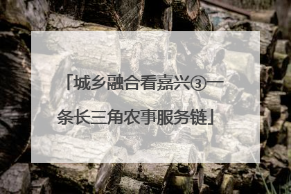 城乡融合看嘉兴③一条长三角农事服务链