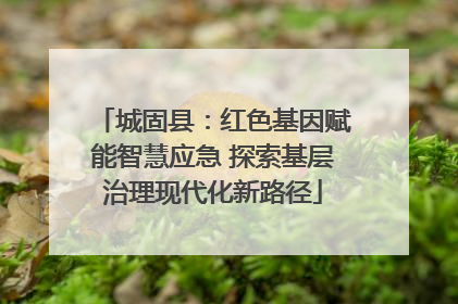 城固县：红色基因赋能智慧应急 探索基层治理现代化新路径