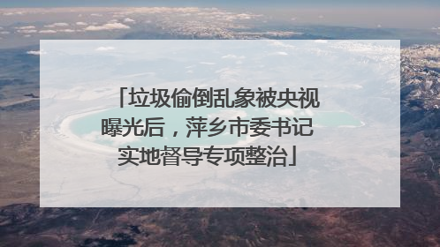 垃圾偷倒乱象被央视曝光后，萍乡市委书记实地督导专项整治