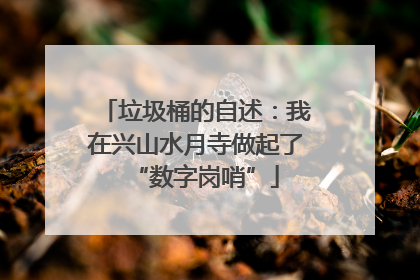 垃圾桶的自述：我在兴山水月寺做起了“数字岗哨”