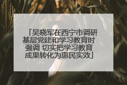 吴晓军在西宁市调研基层党建和学习教育时强调 切实把学习教育成果转化为惠民实效
