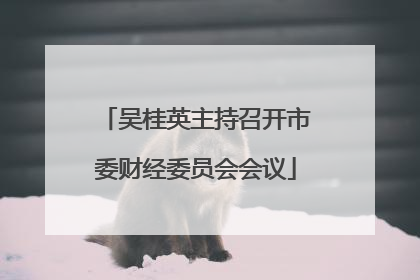 吴桂英主持召开市委财经委员会会议