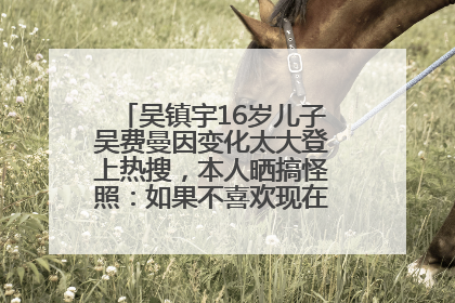 吴镇宇16岁儿子吴费曼因变化太大登上热搜，本人晒搞怪照：如果不喜欢现在的我可以离开