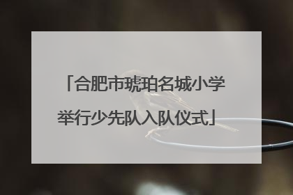 合肥市琥珀名城小学举行少先队入队仪式