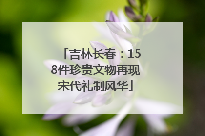 吉林长春：158件珍贵文物再现宋代礼制风华