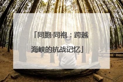 同胞·同袍：跨越海峡的抗战记忆