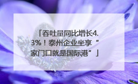 吞吐量同比增长4.3%！泰州企业坐享“家门口就是国际港”
