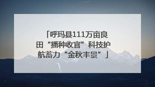呼玛县111万亩良田“播种收官”科技护航蓄力“金秋丰景”