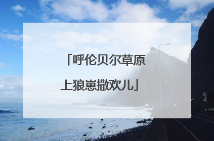 呼伦贝尔草原上狼崽撒欢儿