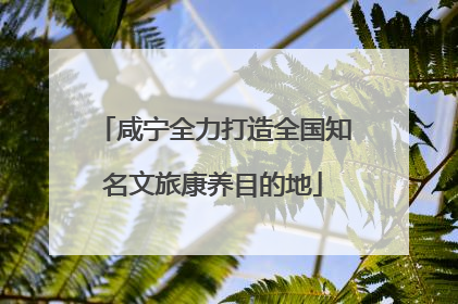 咸宁全力打造全国知名文旅康养目的地