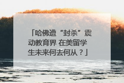 哈佛遭“封杀”震动教育界 在美留学生未来何去何从？