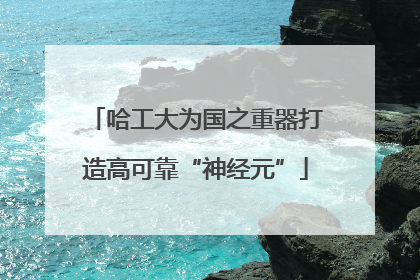 哈工大为国之重器打造高可靠“神经元”