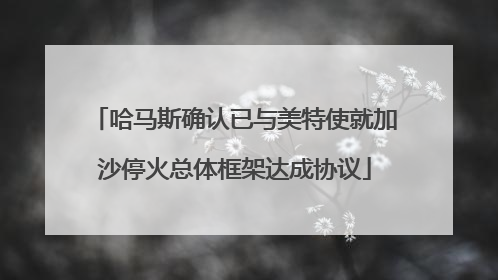 哈马斯确认已与美特使就加沙停火总体框架达成协议