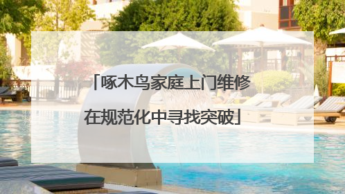 啄木鸟家庭上门维修在规范化中寻找突破