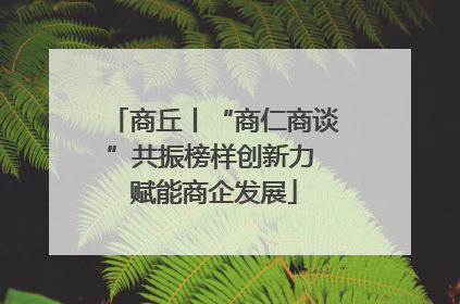 商丘丨“商仁商谈”共振榜样创新力 赋能商企发展