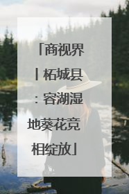 商视界丨柘城县：容湖湿地葵花竞相绽放