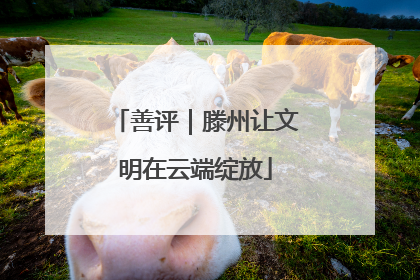 善评｜滕州让文明在云端绽放