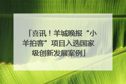 喜讯！羊城晚报“小羊拍客”项目入选国家级创新发展案例