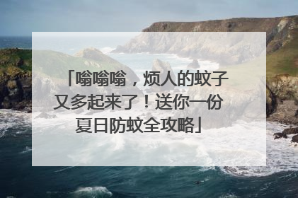 嗡嗡嗡，烦人的蚊子又多起来了！送你一份夏日防蚊全攻略