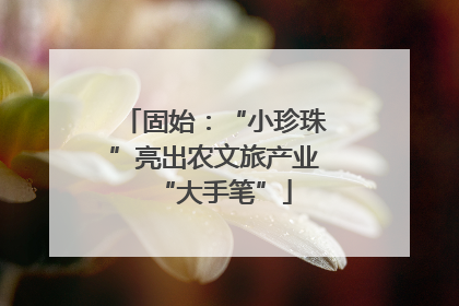 固始：“小珍珠”亮出农文旅产业“大手笔”