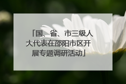 国、省、市三级人大代表在邵阳市区开展专题调研活动