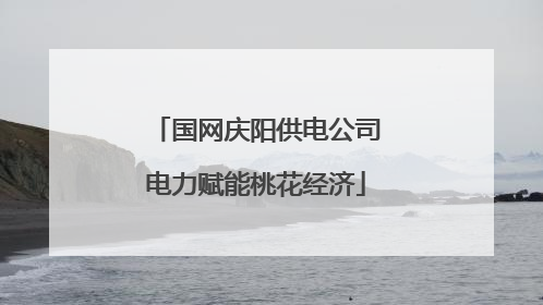 国网庆阳供电公司电力赋能桃花经济