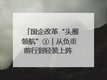 国企改革“头雁领航”③｜从负重前行到轻装上阵 重庆以“瘦身”谋“健体”