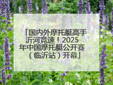 国内外摩托艇高手沂河竞速！2025年中国摩托艇公开赛（临沂站）开幕
