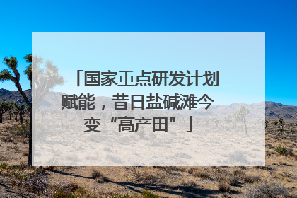 国家重点研发计划赋能，昔日盐碱滩今变“高产田”