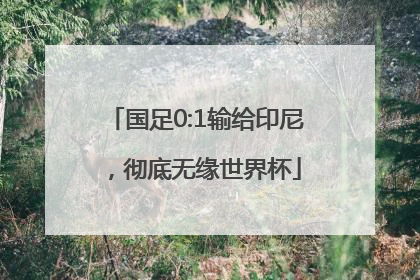 国足0:1输给印尼，彻底无缘世界杯